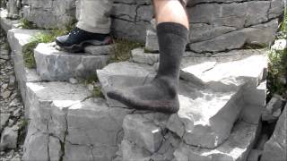 Testbericht der Icebreaker Hike+ Lite Crew Socken