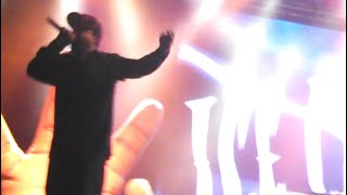 Ice Cube - Bop Gun (One Nation) with WC (Live) @ Riot Fest, Douglas Park Chicago IL 9-11-15