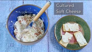 Homemade Kefir Fruit Drink and Cultured Soft Cheese