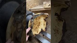 Large Burl Bowl