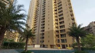 Ambience Tiverton Sec 50 Noida | Luxury Property by Ambience Group | Real Estate Noida #Short Video