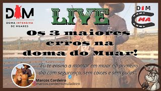 Os 3 maiores erros na Doma do muar, se você pratica eles vai demorar pra ter bom resultado.