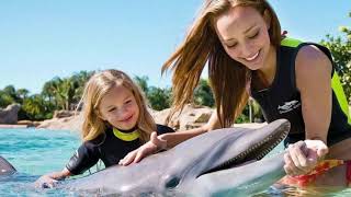 Dolphins: Fascinating And Unknown Facts About Marine Inhabitants