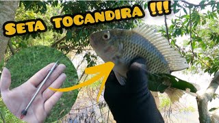 ESSA MINI SETA FOI MORT4L PARA AS TILÁPIA... (PESCA COM ESTILINGUE )#guiadomato