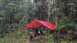 CAMPING DITERPA HUJAN DERAS SEHARIAN | HAMPIR GAK BISA KELUAR HUTAN