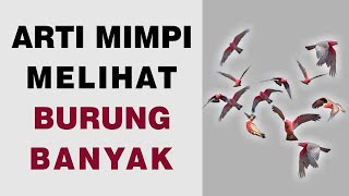 Arti Mimpi Melihat Burung Banyak