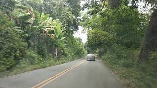 Subindo a serra de Guaramiranga-Ce