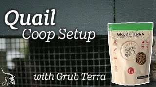 Quail Coop Setup with Grub Terra