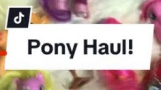 WHAT HAVE THEY BEEN THROUGH!? | PONY HAUL!