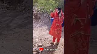 Nazia Iqbal pashto song | Musafro Tappy | New Nazia Iqbal tapy | Musafar janan | #short #naziaiqbal