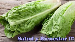 Beneficios de la Lechuga