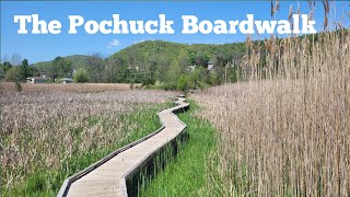 Hiking the Pochuck Boardwalk #ATinNJ