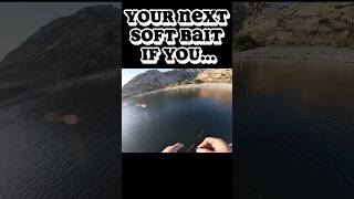 Your next soft bait if you… what are you choosing? #bassfishing #fishing #fypシ゚viral #fish