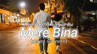 Mere Bina (slowed + reverb) | Mera Pehla Pehla Pyaar Hai | kk | Nikhil  Dsouza | BR LOFI SONG