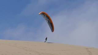 Surfing the dune - André