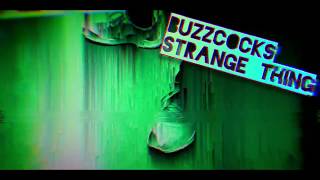 BUZZCOCKS - Strange Thing