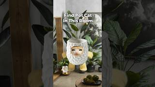 Pot Cat Finding Challenge