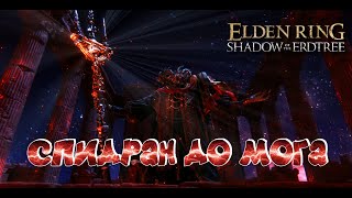 СПИДРАН ДО МОГА №9 ELDEN RING Shadow of the Erdtree  2024