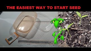 THE EASIEST WAY TO START SEEDS