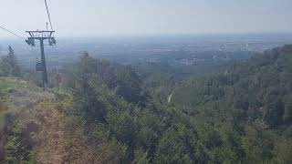 Panoramska vožnja iznad prekrasne zelene šume