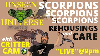 SCORPIONS, SCORPIONS, SCORPIONS - "EPIC" Rehouse & Care