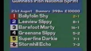 1993 Irish National Sprint