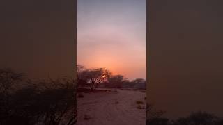 Muscat Off Road Sunset View | Orange Sky #shorts #muscat #oman