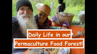 Daily Life in our PERMACULTURE FOOD FOREST