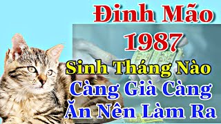 Đinh Mão 1987 Xem Tháng Sinh Nào Hậu Vận Sung Túc, Tháng Nào Làm Mãi Không Dư