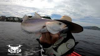 ROBALO, PESCADAS E OUTROS - NITERÓI RIO DE JANEIRO