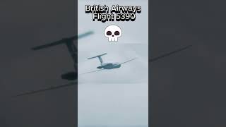 Best emergency landing pt2 #meme #planeedits #aviation #emergencylanding #infraredaviation #pilot