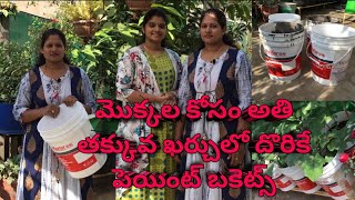 మొక్కల కోసం అతి తక్కువ ఖర్చులో దొరికే పెయింట్ బకెట్స్ || Inexpensive  paint buckets for plants ||