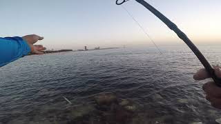 fishing ng mga ofw sa al khobar