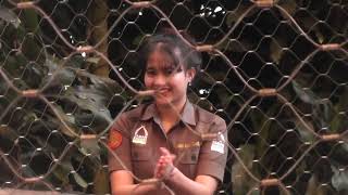 Harimau show di taman safari bogor | taman safari bogor | pertunjukan harimau