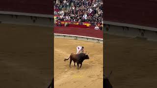 “Espectacular salto al toro” castellon 2024