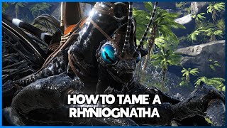 How to Easily Tame a Rhyniognatha in {ARK SURVIVAL ASCENDED}