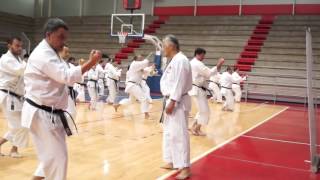 Cur avec Sensei Mitsuo Inoue