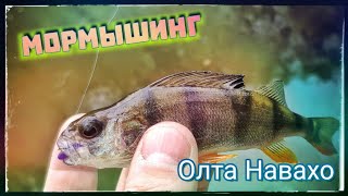 Мормышинг с Олта Навахо ! Олна из первых моделей , с хитрой вклейкой от ......