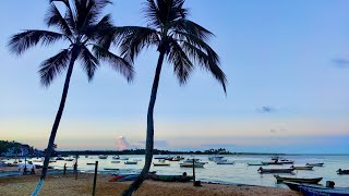 Itacaré & surrounding beaches - Bahia, Brazil