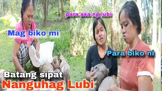 Batang sipat gipakuha og lubi aron mag buko