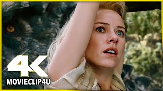 King Kong (2005) - Kong Battles The T-Rexes - Skulls Island Scene | MᴏᴠɪᴇCʟɪᴘ4ᴜ -〚HD〛