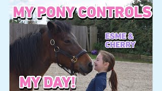 MY PONY CHERRY CONTROLS MY DAY!