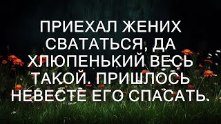 Приехал жених свататься, а оказался таким слабаком, что невесте пришлось его спасать.  || Тристен