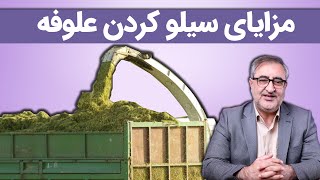 مزایای سیلو کردن علوفه