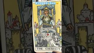 Winged Sun ☀️ Tarot’s Chariot