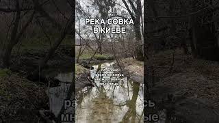 Чем известна река Совка?  #киев #реки #история #коллектор