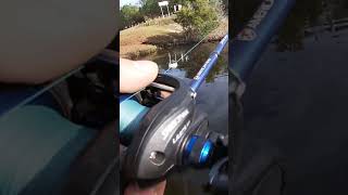 Random things while BASS Fishing! #bassfishinglife #shorts #youtubeshorts #fishing #subscribe