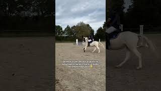 Quand tu as oublié de la remercier 🤣 #cheval #equitation #fun #drole  #beyonce #trending