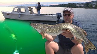 Pecanje štuke na troling - Bodensko jezero Švajcarska | Stuka-Angeln mit Trolling-Köder im Bodensee