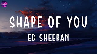 Ed Sheeran - Shape of You (lyrics)